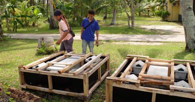 Mosquito Trap Ala Jerman Sukses Minimalisir Nyamuk di Batubesar